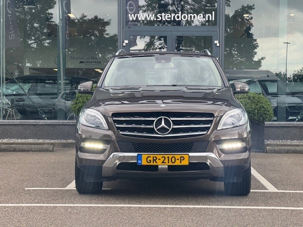 45486271-3.jpg